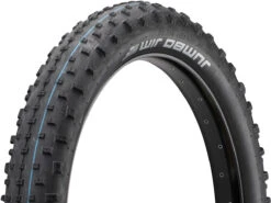 Schwalbe Pneu Souple Jumbo Jim Evo ADDIX SpeedGrip SuperGround 26" Fatbike