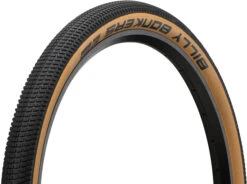 Schwalbe Pneu Souple Billy Bonkers Performance ADDIX 26"